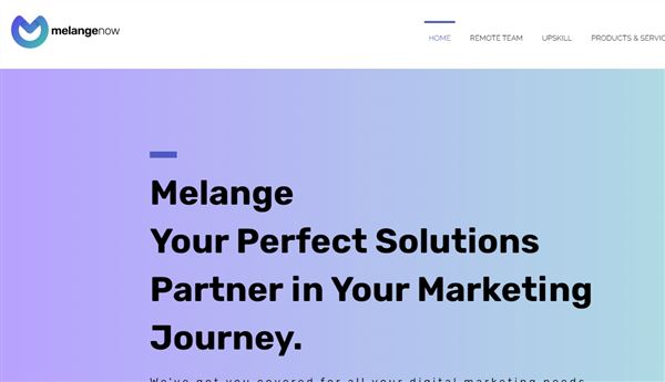 Melange Marketing Solutions - Digital Marketing Agency & Coaching Institute Indore